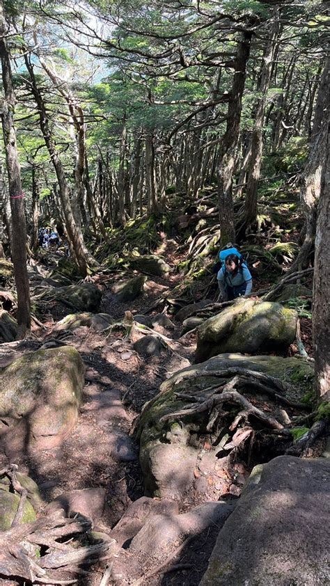 ニュウ・東天狗岳・西天狗岳・中山 八ヶ岳（赤岳・硫黄岳・天狗岳）の写真41枚目 Yamap ヤマップ