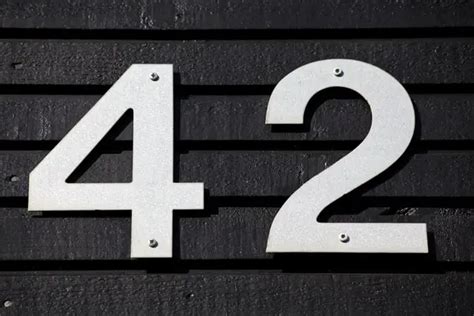 Nummer 42 betekenis