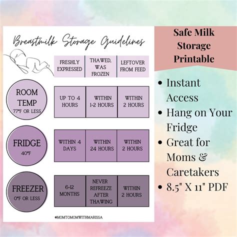 Breastmilk Storage Guidelines Printable Purple Printable Etsy