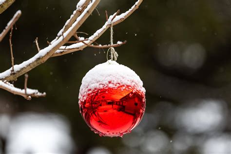 Weiße Weihnacht oder Schmelze Überraschende Prognosen für Feiertage