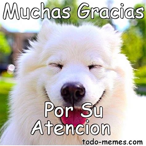 Meme de Muchas Gracias Por Su Atencion