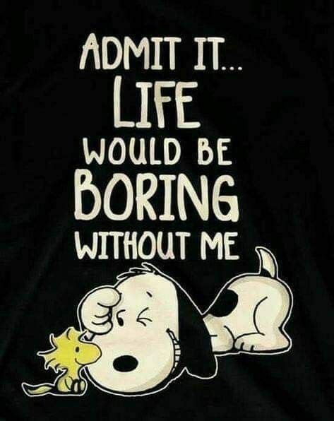 Pin By Darla Mezei On Snoopy And The Peanuts Gang Snoopy Quotes Funny Quotes Snoopy