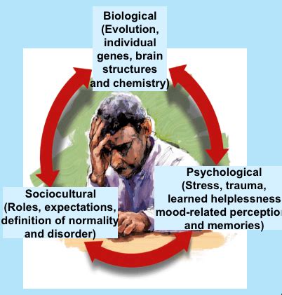 Psychological Disorders Flashcards Quizlet