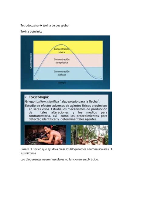 SOLUTION Semana 15 Toxicologia Studypool