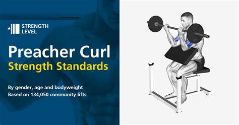 Preacher Curls Standards für Männer und Frauen kg Strength Level