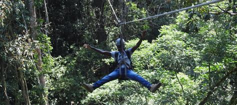 Zip Lining Adventure At Griffin Falls Mabira Forest Reserve