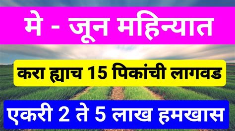 मे जून महिन्यात एकरी 2 ते 5 लाख रु उत्पन्न देणारी 15 पिके May June Pike मे पिके जून पिके Youtube