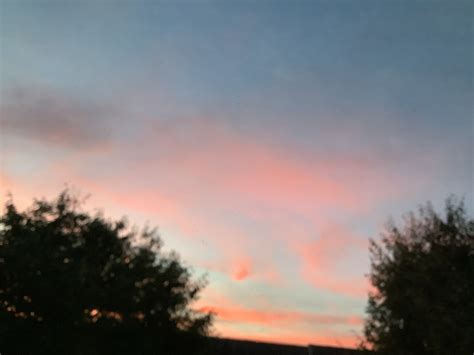 Reward Transport | Newtown Square PA