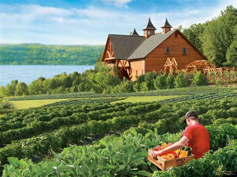 Wegmans Organic Farm & Orchard - Wegmans