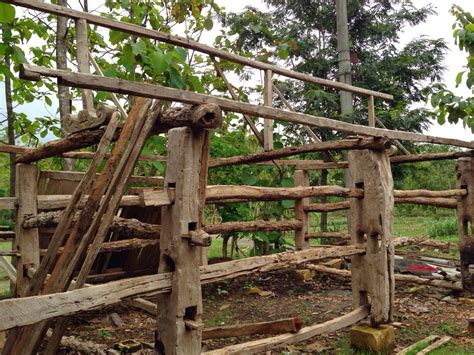 Kandang Sapi Kayu Jati Lawas SOLD HUNIAN MASA DEPAN