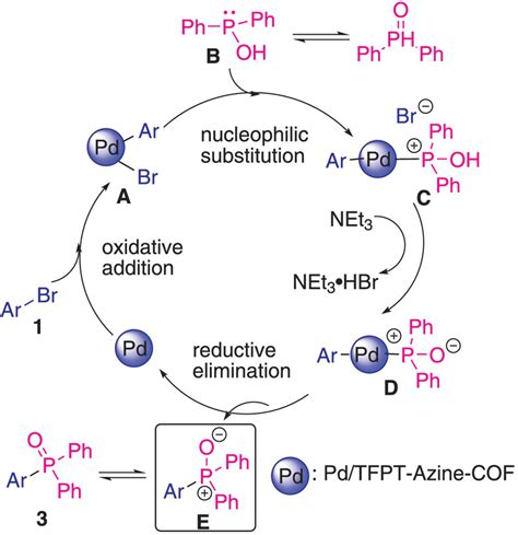 A Plausible Catalytic Cycle For Pd Tfptazinecofpromoted Coupling