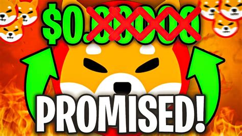 SHIBA INU CEO PROMISED TO DELETE THREE ZEROES BEFORE 2024 SHIBA INU