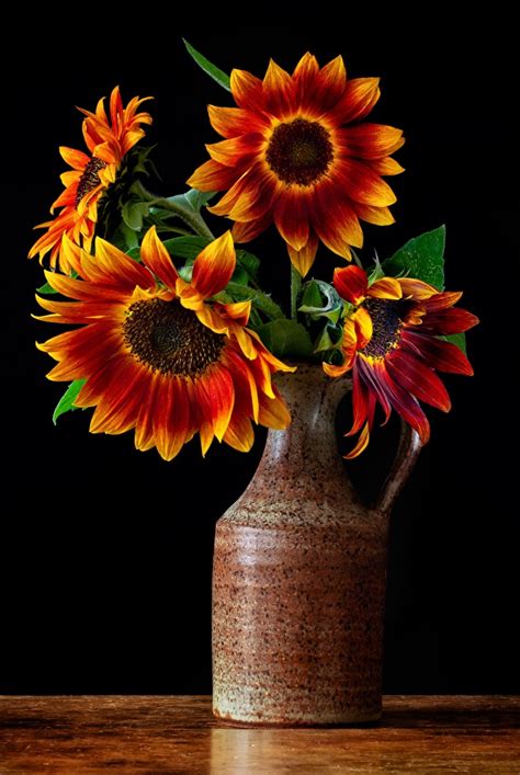 Images Bouquet Flowers Sunflowers Vase