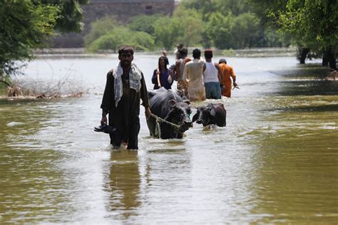 Usaid Chief Pledges 20 Million In Additional Help For Flood Hit Pakistan Reuters