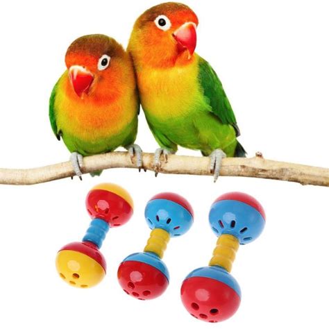 Pin On Bird Toys For Sale Bird Toys Diy