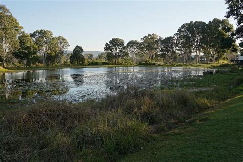 Yowie Park 2025 All You Need To Know Before You Go With Photos