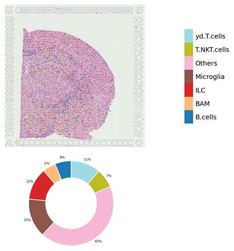 Spatial Transcriptomics Deconvolution Visualization Stlearn