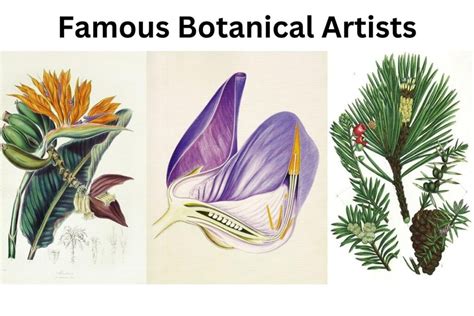 10 Most Famous Botanical Artists - Artst