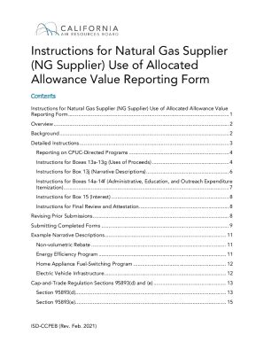 Fillable Online Arb Ca Instructions For NG Supplier Use Of Allocated