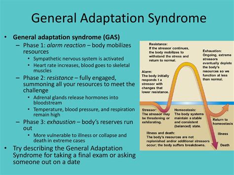 Module 43 Stress And Health Ppt Download