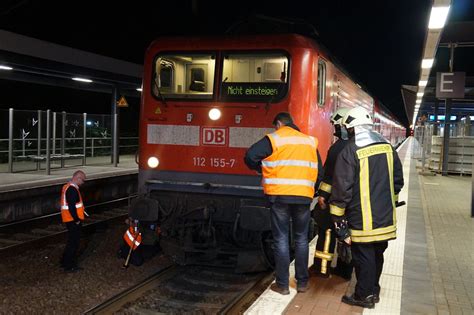 Reportnet De Zugunfall In Brandenburg Havel Regionalbahn Mit Wild