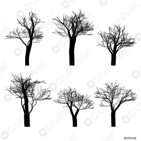 Set Of Black Naked Trees Silhouette Set Hand Drawn Isolated Stock
