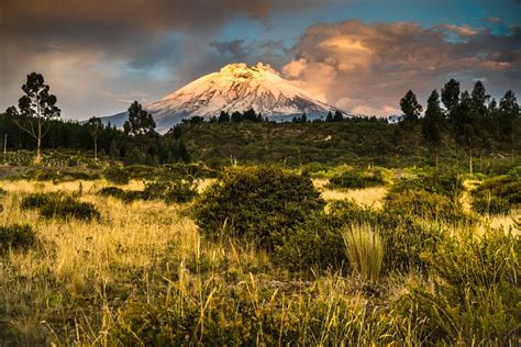 Tripadvisor Het Beste Van Likasi Wandeltocht Aangeboden Door Opatrip