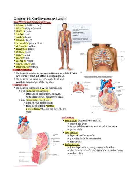 Chapter 10 Cardiovascular system - Chapter 10: Cardiovascular System