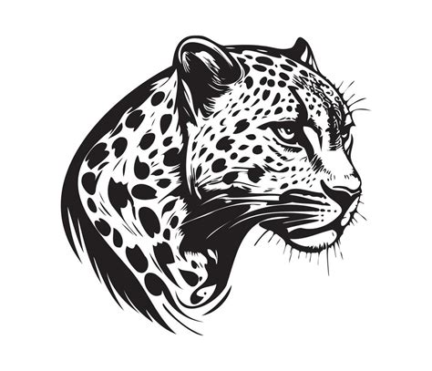 Leopard Face, Silhouettes Leopard Face, black and white Leopard vector ...