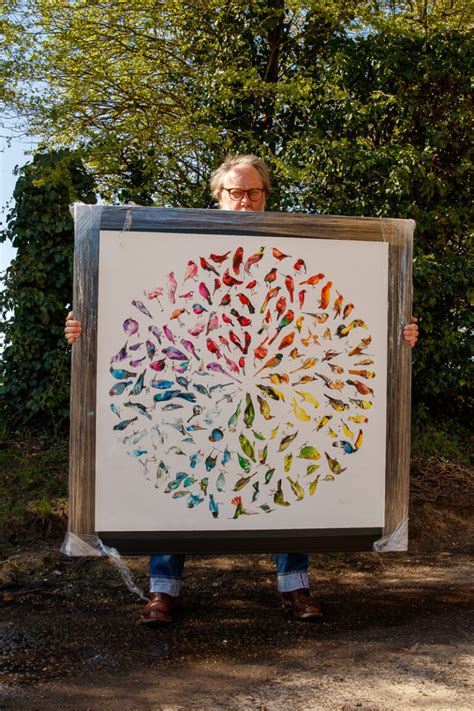 Bird Colour Wheel Xl Jim Moir Art