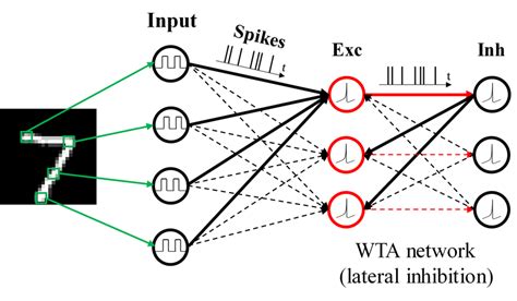 Spiking Neural Network A Bionics Way To Represent And Process Data