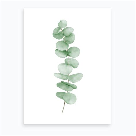 Eucalyptus Leaves Art Print Leaf Art Eucalyptus Leaves Watercolor