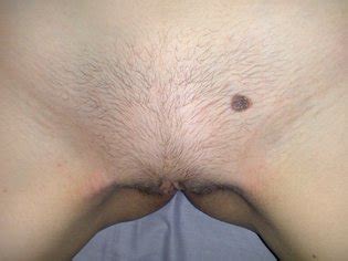 Amadora Loira Ludmila Luscious Hentai Manga Porn