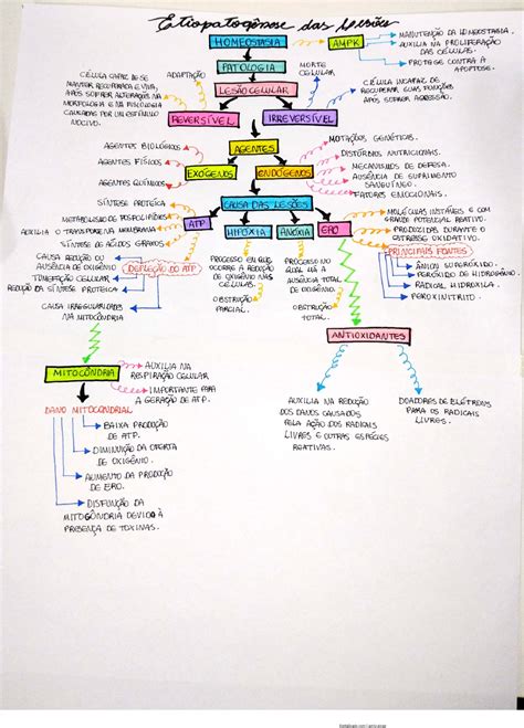 Mapa Mental Patologia Patologia Geral