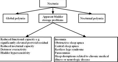 The Relationship Between Obstructive Sleep Apnea Nocturia And Daytime