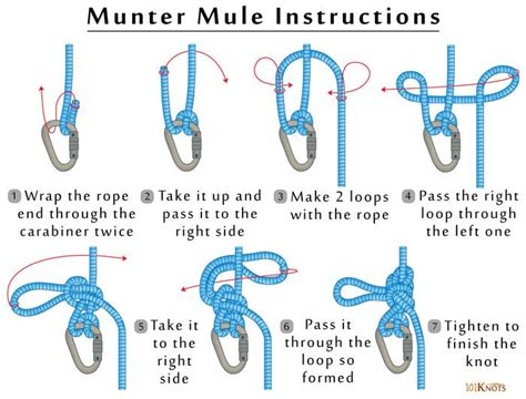 How To Tie A Munter Mule Hitch Step By Step Instructions Video Artofit