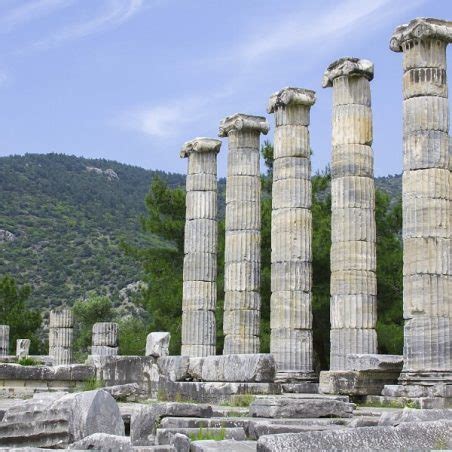 Days Ephesus Pergamum Pamukkale Priene Miletus And Didyma Tour