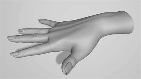 Hand Right 3D Model 5 Wrl Stl Obj Unknown Fbx Dxf Dae C4d