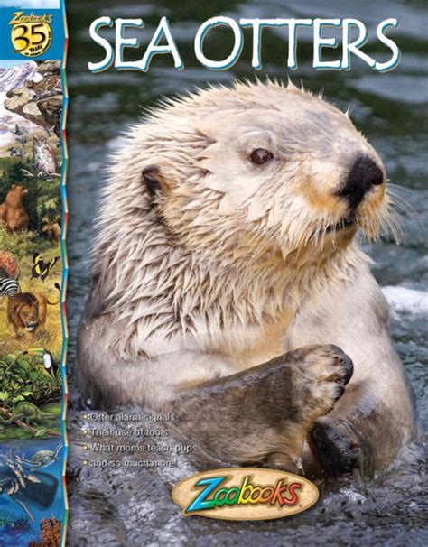 Sea Otters By Ltd Wildlife Education Ebook Nook Kids Barnes And Noble®