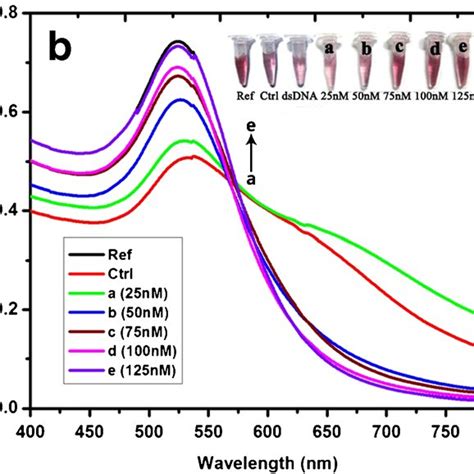 UV Vis Absorbance Spectra Of 0 5 Kb A And 0 85 Kb B SsDNA Stabilized