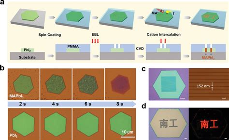 High Solution Patterning On Hybrid Perovskite A Schematic Diagrams Of