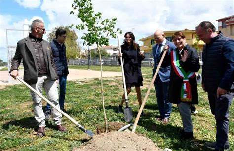 Al Parco Tommaso Forti Di Fiumicino Si Piantano 100 Nuovi Alberi Roma