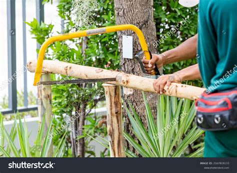 Carpenter Cutting Constructing Large Tree Crutches Stock Photo