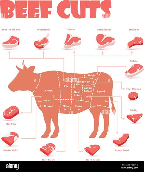 33+ Beef Butcher Diagram - KateAlishba