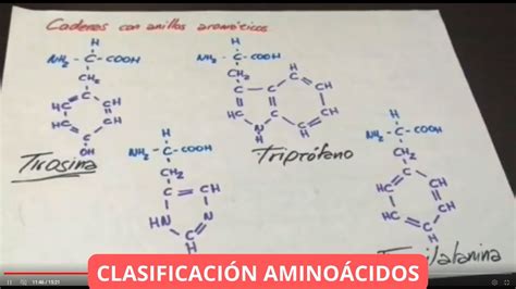 ClasificaciÓn De Los AminoÁcidos Bioquímica Fácil Y Sencilla Youtube