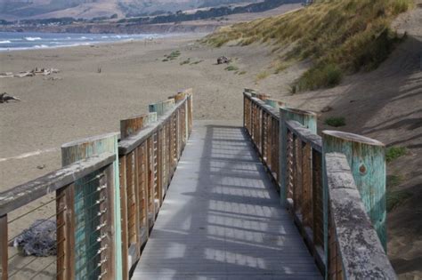 Bodega Dunes Beach in Bodega Bay, CA - California Beaches