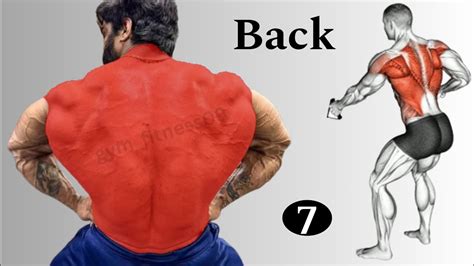 Best Wider Back Exercises At Gym Back Muscles Workout Gym