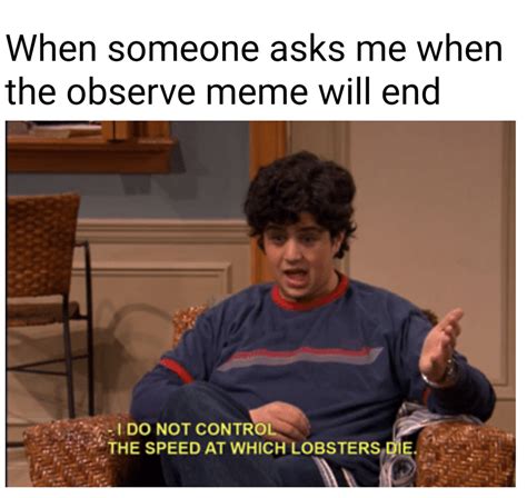 Observe | Larry the Lobster "Observe" | Know Your Meme