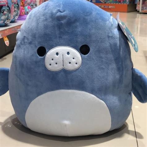 Jual Boneka Squishmallow Original Maeve Thr Blue Seal Besar 30cm