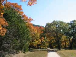 Lost Maples State Natural Area Foliage — Texas Parks & Wildlife Department